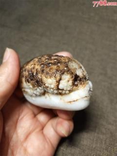 和田玉黑皮巧雕金蟾