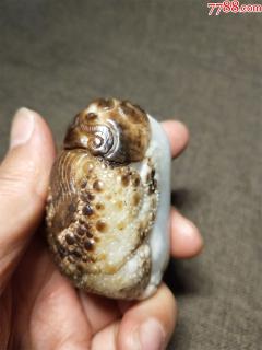 和田玉黑皮巧雕金蟾