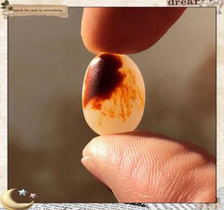 红皮为何动辄几万:和田玉籽料皮色全解